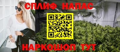 гидра Заводоуковск