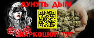 гидра Заводоуковск