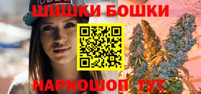 гидра Заводоуковск