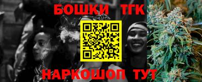 гидра Заводоуковск