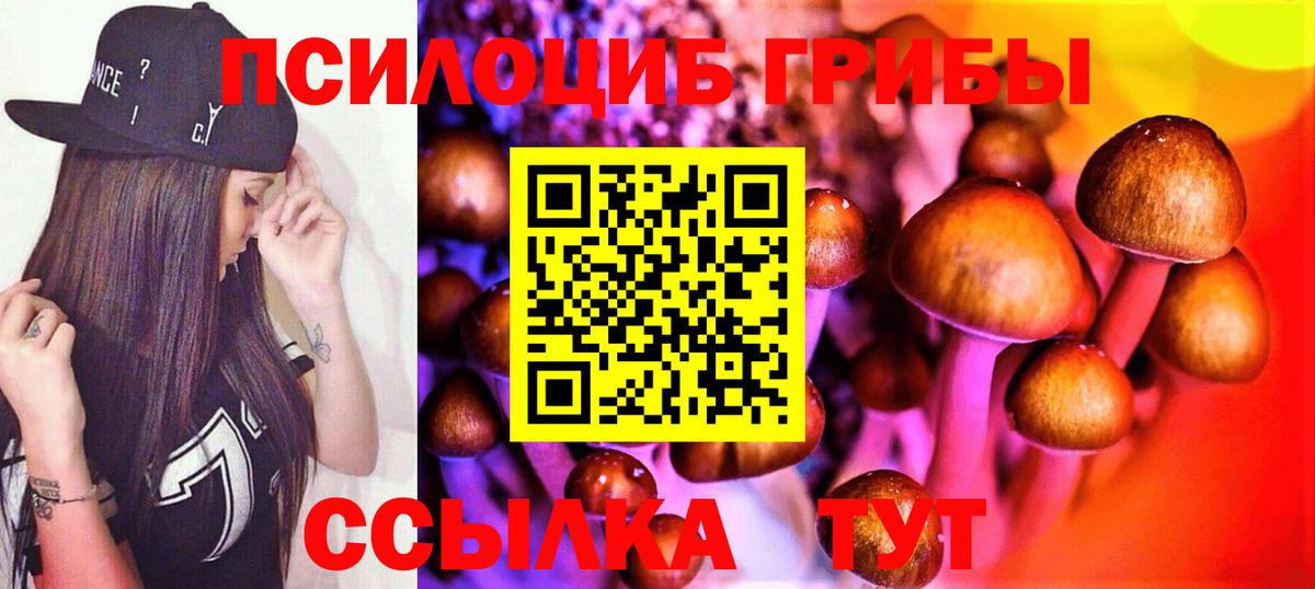 Псилоцибиновые грибы Psilocybe  Вход с VPN  Лабытнанги 