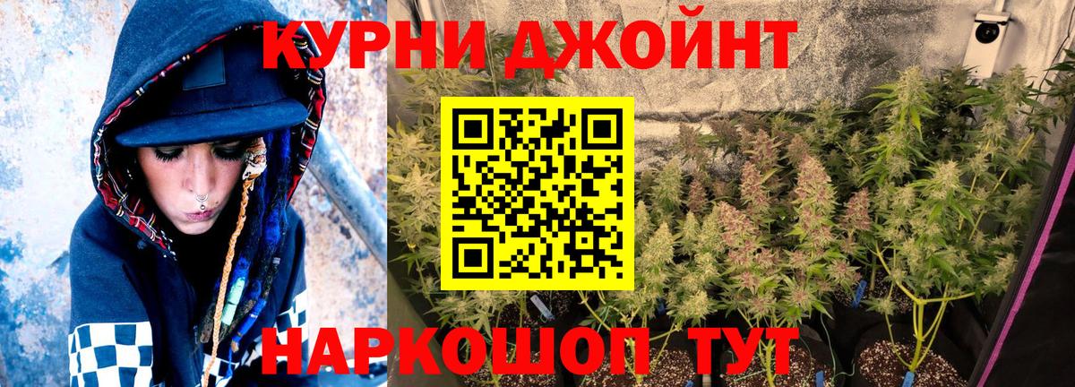 Бошки марихуана OG Kush Лабытнанги